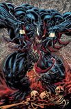 Venom #31 - Kyle Hotz 2 Cover Set - LTD 1000